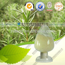 Ursolic Acid Pulver CAS Bearberry Extrakt 98% CAS: 77-52-1
